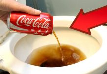 11 reason Here is why you should keep yourself away from Coca-Cola