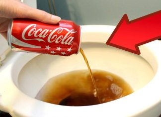 11 reason Here is why you should keep yourself away from Coca-Cola