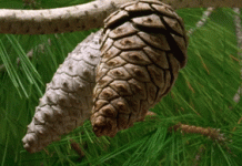 22 GIFS that actually act as an eye opener